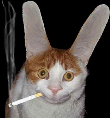 pas la peine de crier